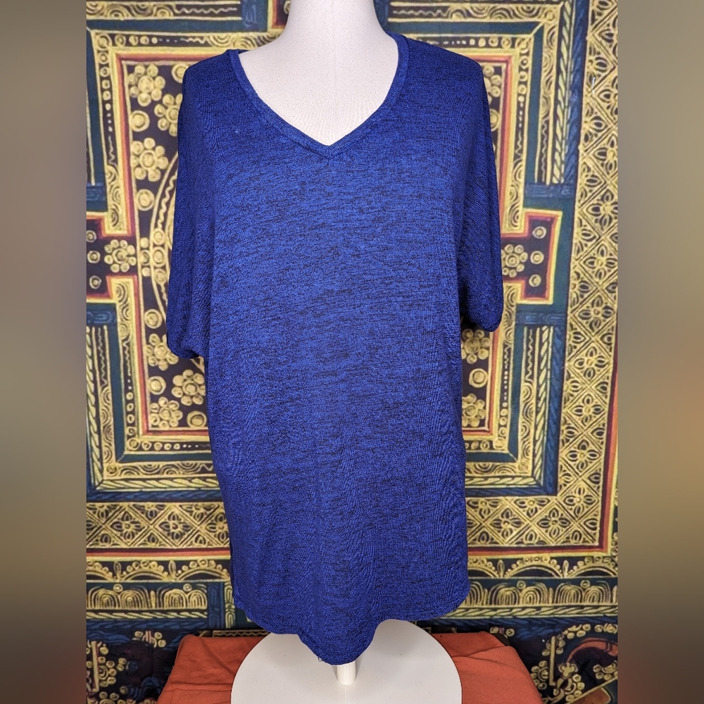 The Impeccable Pig V Neck Tee Shirt Size Medium